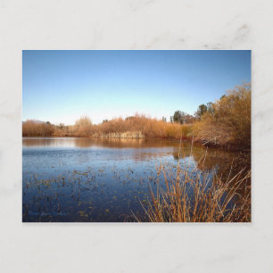 Carte Postale Bass Pond One