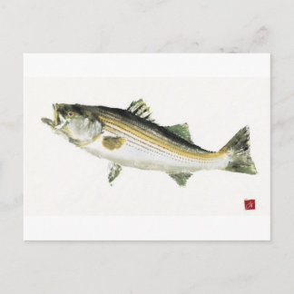 Carte Postale Basse striée