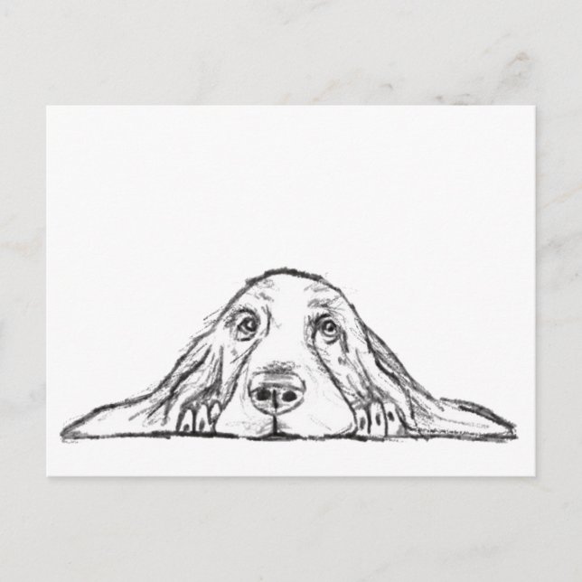 Carte Postale basset blanc (Devant)