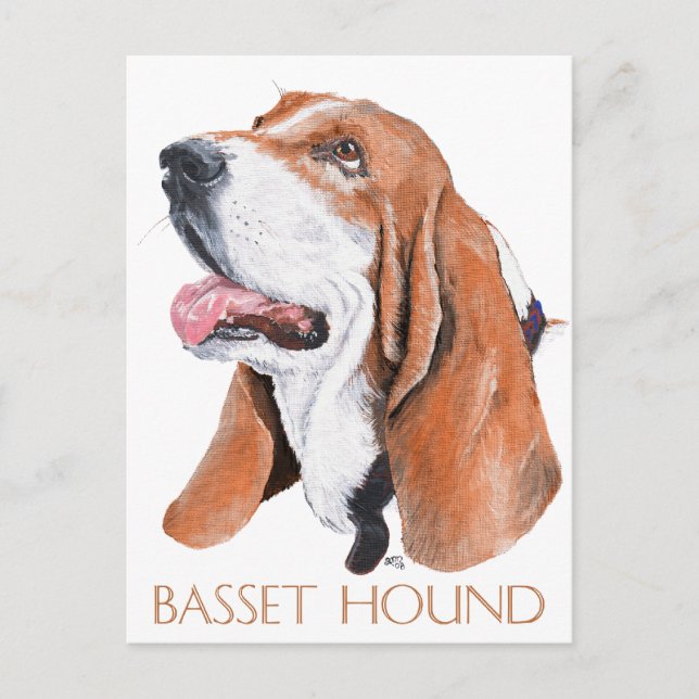 Carte Postale Basset Hound (Devant)