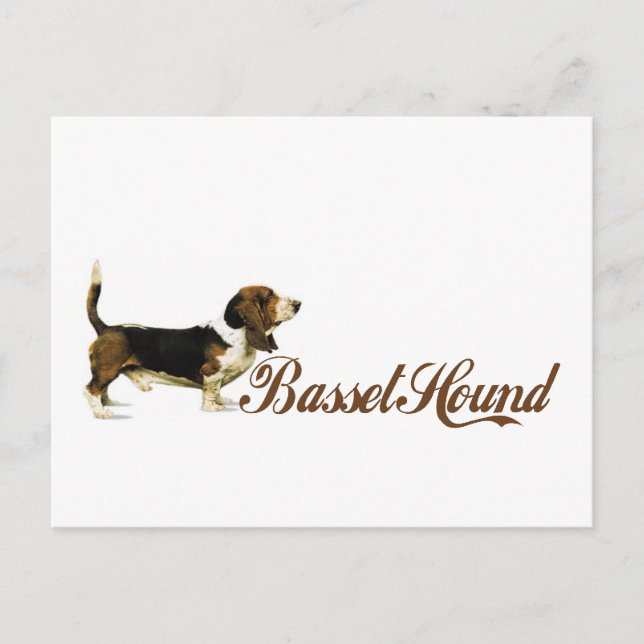 Carte Postale basset hound (Devant)