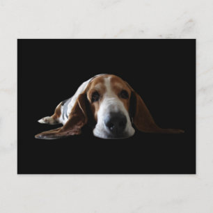 Carte Postale Basset Hound allongé