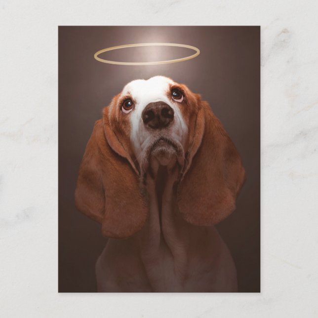 Carte Postale Basset Hound Angel (Devant)
