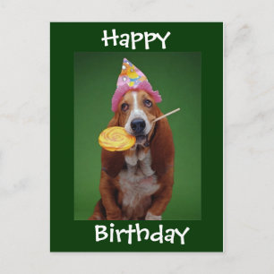 Carte Postale Basset Hound Anniversaire Lollipop