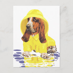 Carte Postale Basset Hound Avrils Pluie