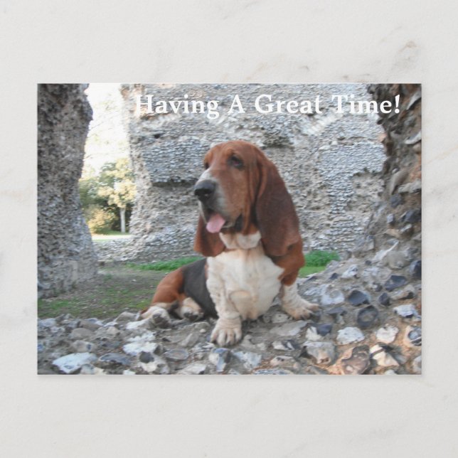 Carte postale Basset Hound Castle Ruin Visite (Devant)