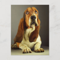 Basset Hound Chien chiot Bonjour Amour, Penser de