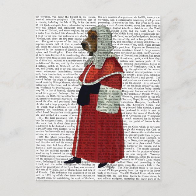 Carte Postale Basset Hound Juge Full (Devant)