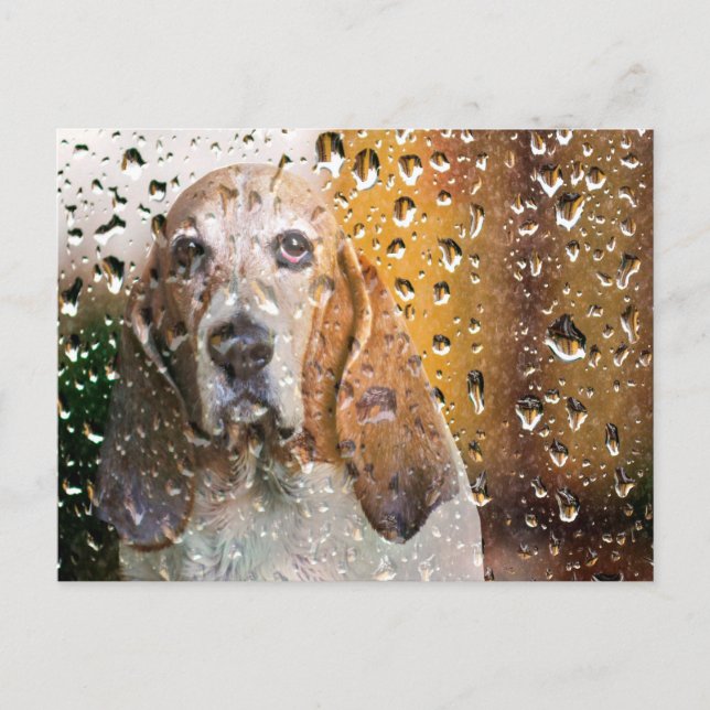 Carte Postale Basset Hound Miss You (Devant)
