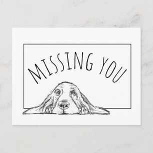 Carte Postale basset hound noir blanc yeux de chiot simple 