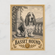 Basset Hound, Patrimoine Chien Vintage