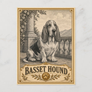 Carte Postale Basset Hound, Patrimoine Chien Vintage