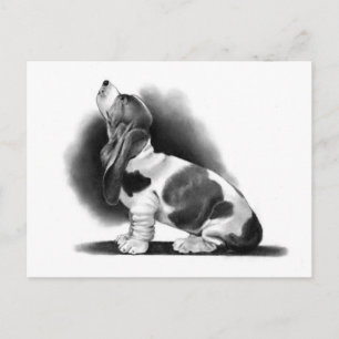 CARTE POSTALE BASSET HOUND : RÉALISME PENCIL : PUPPÉ