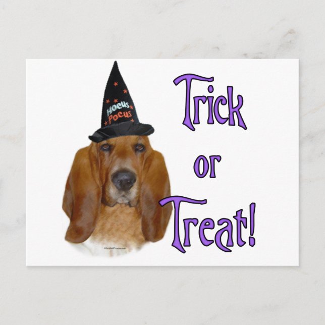 Carte Postale Basset Hound Trick (Devant)