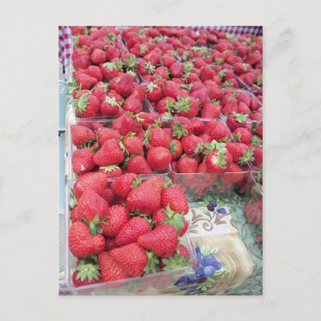 Carte Postale Bassin de fraises (Devant)