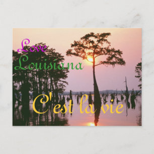 Carte Postale Bassin de Lousiana/Atchafalaya