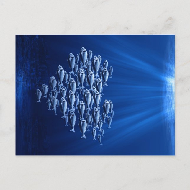 Carte Postale bassin de poissons sous le coeur de l'eau (Devant)