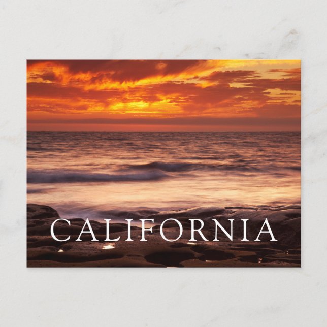 Carte Postale Bassins de marée de La Jolla (Devant)