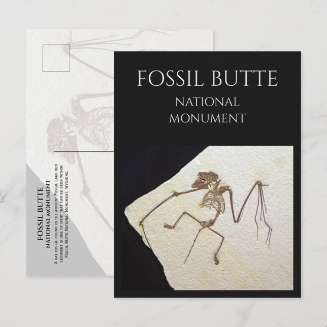 Carte Postale Bat Fossil, de Fossil Lake, Fossil Butte, WY (Devant / Derrière)