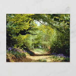 Carte Postale Bataille Powerhill Woodlands, East Sussex, Anglete