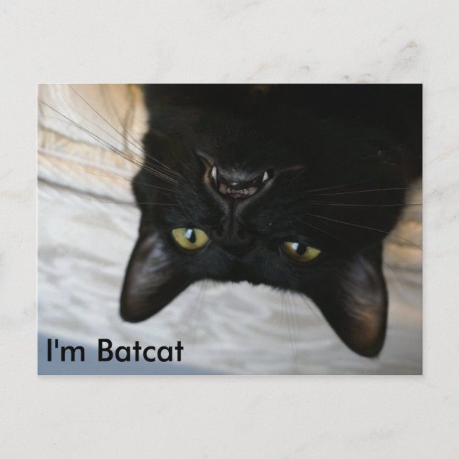 Carte Postale Batcat : Je suis Batcat Postcard (Devant)