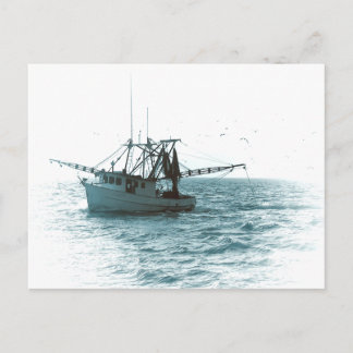 Carte Postale Bateau à crevettes