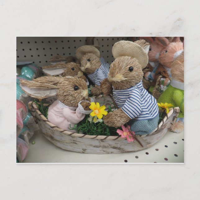 Carte Postale Bateau Bunny (Devant)