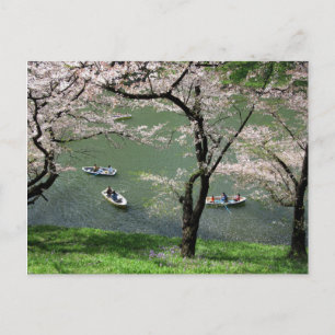Carte Postale Bateau sur Chidorigafuchi : Tokyo, Japon