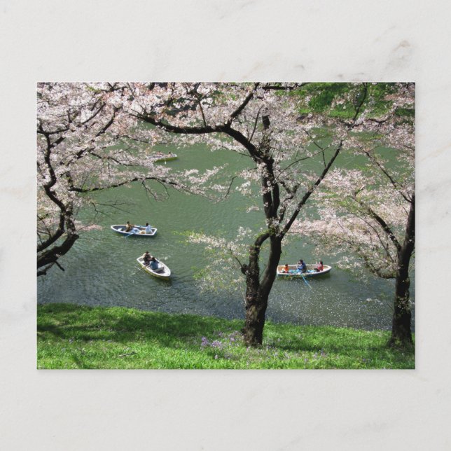 Carte Postale Bateau sur Chidorigafuchi : Tokyo, Japon (Devant)