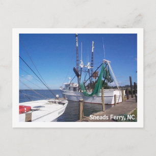 Carte Postale Bateaux à crevettes amarrées