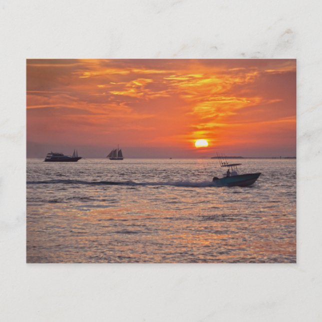 Carte Postale Bateaux à Key West, Floride, à Sunset (Devant)