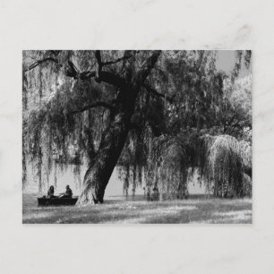 Carte Postale Bateaux à roues Central Park