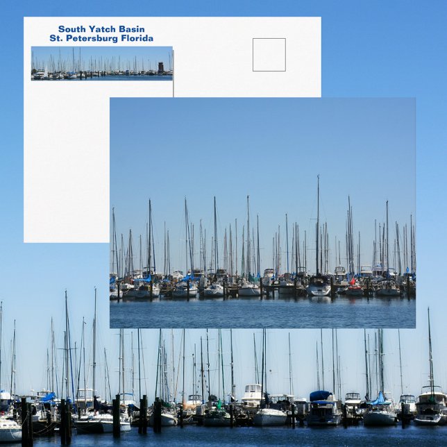 Carte Postale Bateaux à voile dans une rangée St Petersburg FL P (Créateur téléchargé)