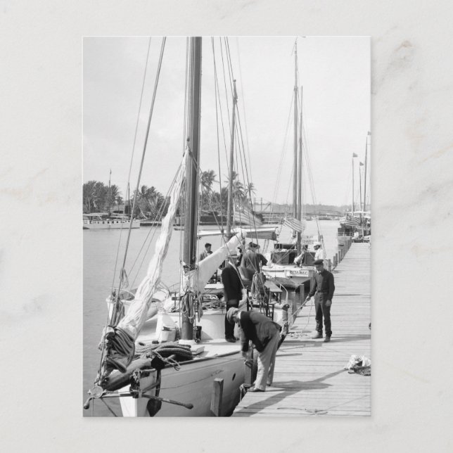 Carte Postale Bateaux à voile de Miami, 1905 (Devant)