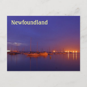 Carte Postale Bateaux à voile de Terre-Neuve à la marina au crép