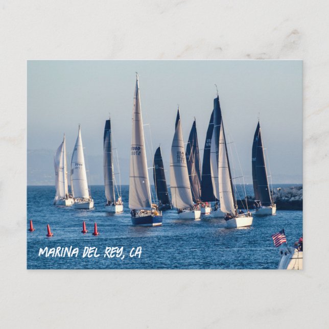 Carte Postale Bateaux à voiles - Marina Del Rey, CA (Devant)
