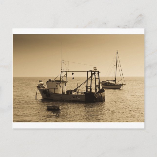 Carte Postale Bateaux de pêche Leigh en mer (Devant)