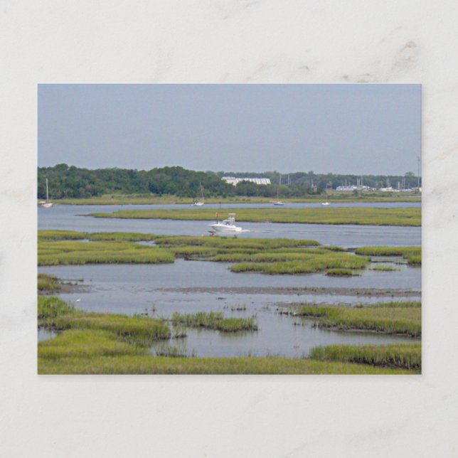 Carte Postale Bateaux du lac (Devant)
