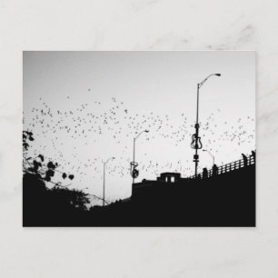 Carte Postale Bateaux sur Austin