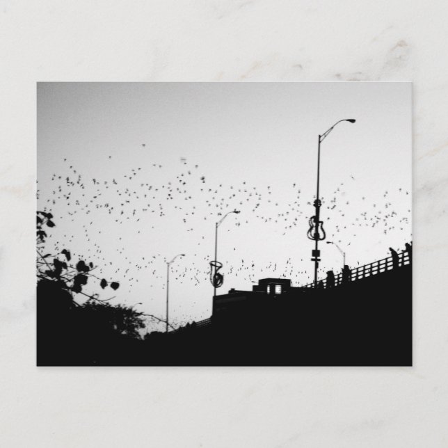 Carte Postale Bateaux sur Austin (Devant)