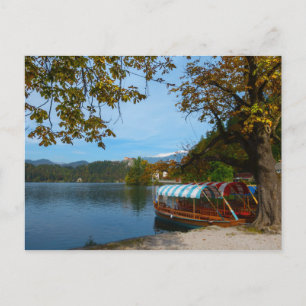 Carte Postale Bateaux touristiques dans le lac Bled en automne