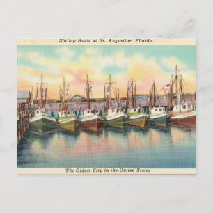 Carte Postale Bateaux vintages à crevettes, St. Augustine Florid