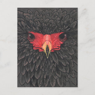 Carte Postale Bateleur Eagle African Bird Portrait Papier Collag