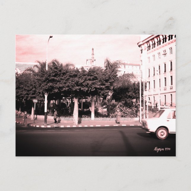 Carte Postale Bâtiment de voitures vintage Algérie Alger (Devant)
