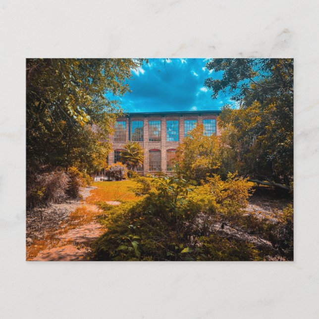 Carte Postale Bâtiment en briques envahi par la nature (Devant)