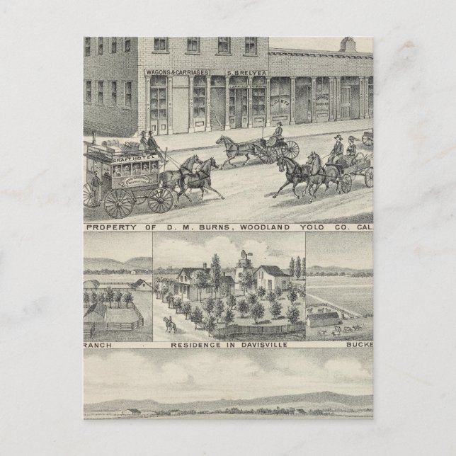 Carte Postale Bâtiment forestier, ferme du comté de Yolo (Devant)