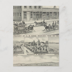 Carte Postale Bâtiment forestier, ferme du comté de Yolo