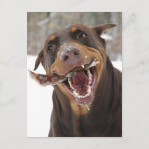 Carte Postale bâton