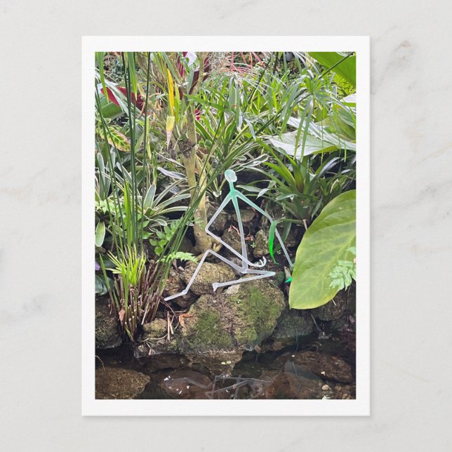 Carte Postale Bâton de la salle des orchidées Figures 1 | Conser (Devant)