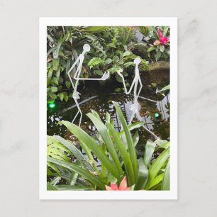 Carte Postale Bâton de la salle des orchidées Figures 2   Conser